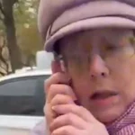 пенсионеры-поджигатели