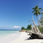 Сейшельские острова