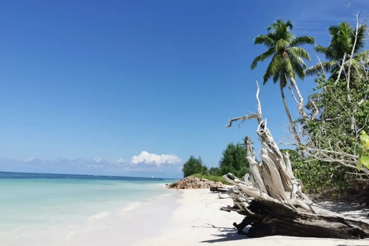 Сейшельские острова