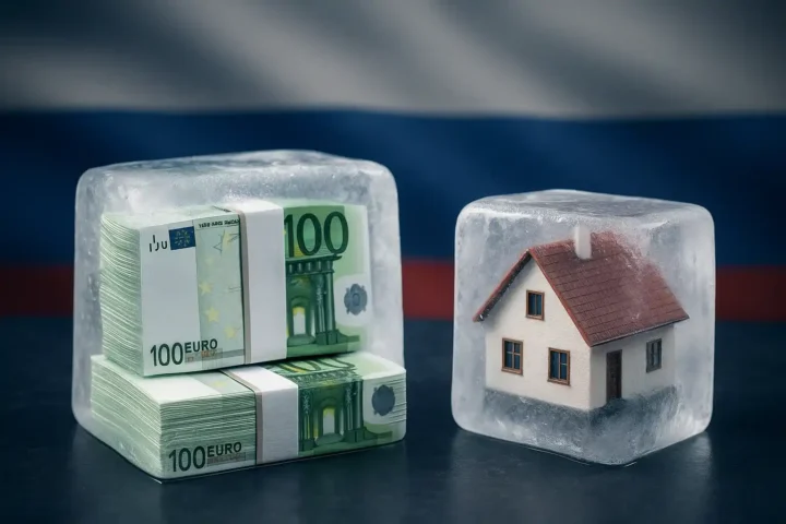 frozen assets