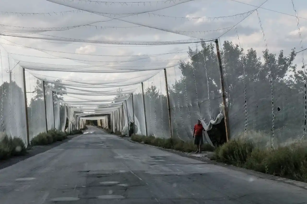 Сети для защиты от беспилотников