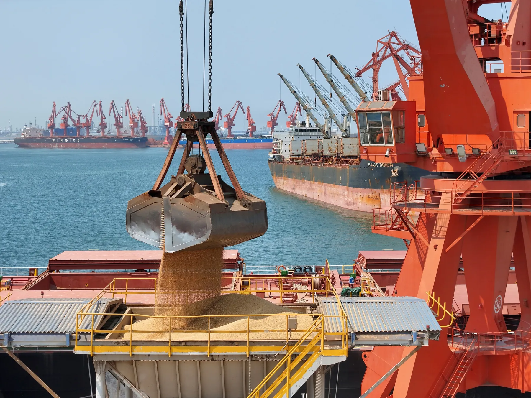 Соевые бобы разгрузка