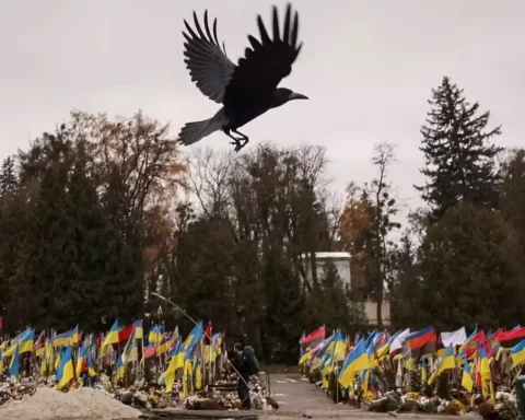 кладбище Украины