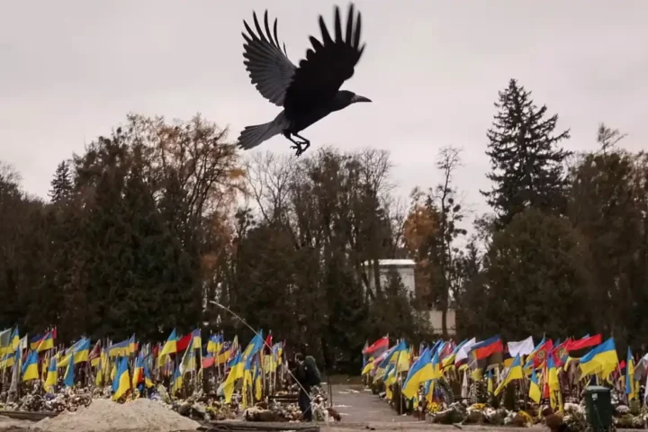 кладбище Украины