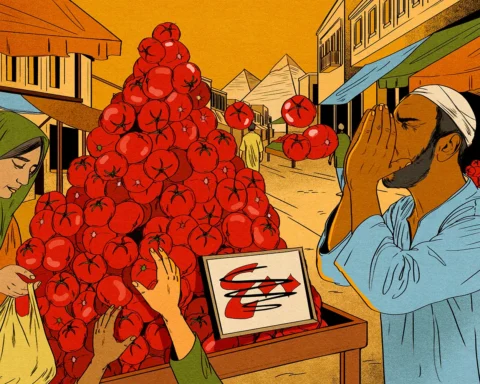 рынок помидоров