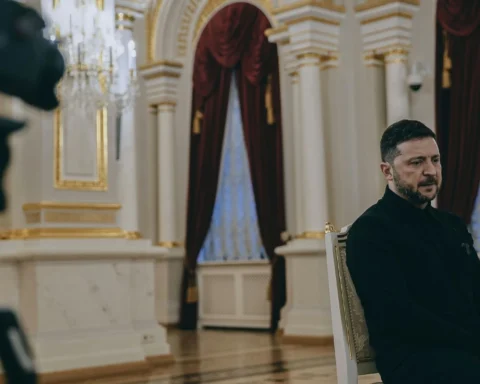 Зеленский один