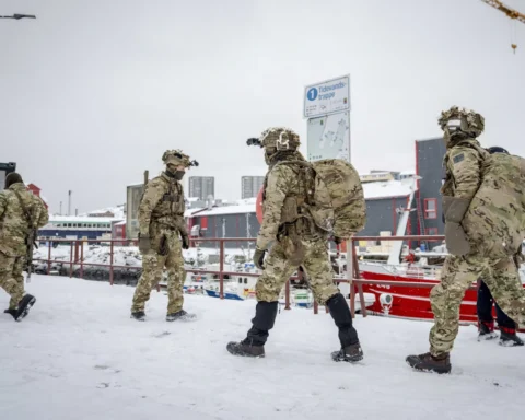 Датские солдаты