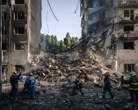 спасатели ведут поиски