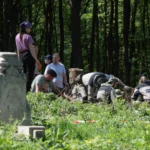 Польские археологи